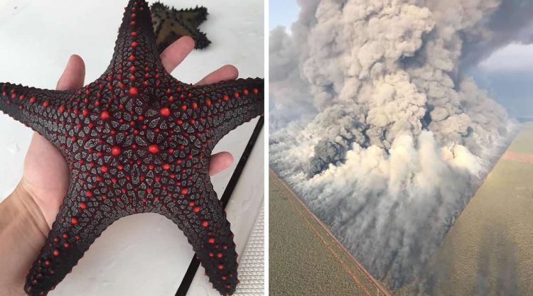 Unusual Photos That Uncover the Strange and Surprising Side of Our World